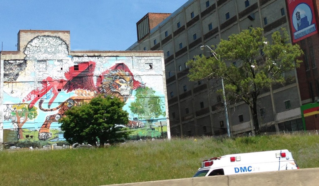 A criminally underfunded EMS ambulance scurries past the large-scale flora that is the area’s calling card (and partially hidden by an obnoxious weed).