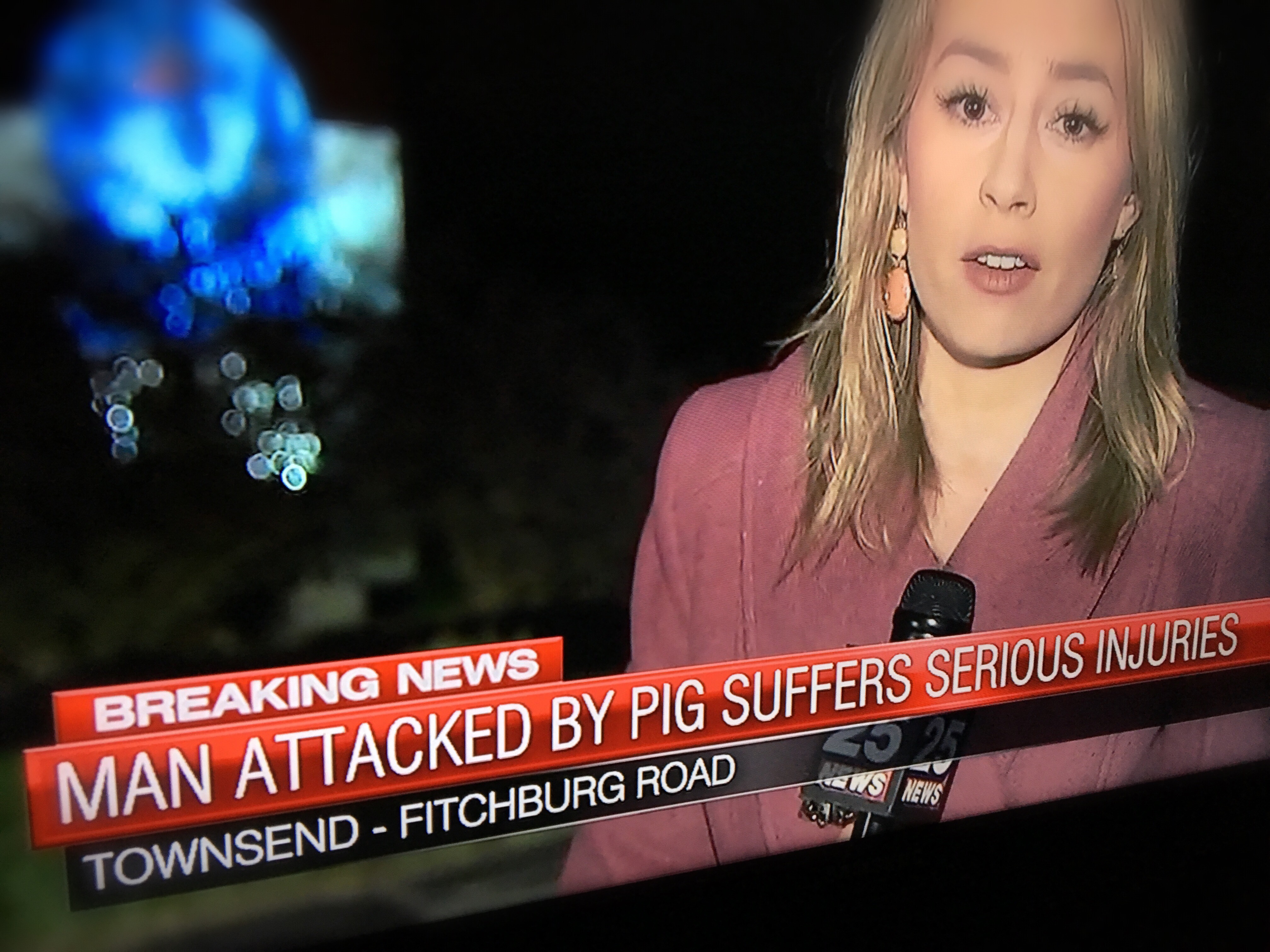 Local news in Boston covering a pig attack many miles outside of the city.